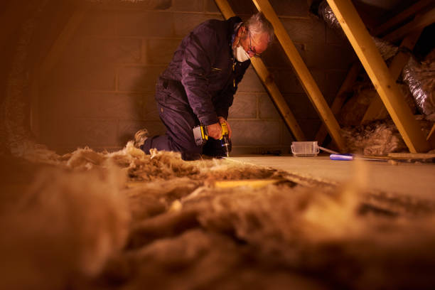 Best Geographic-Specific Insulation Services in Locust, NC