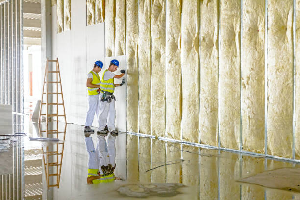 Best Insulation Maintenance and Repair in Locust, NC